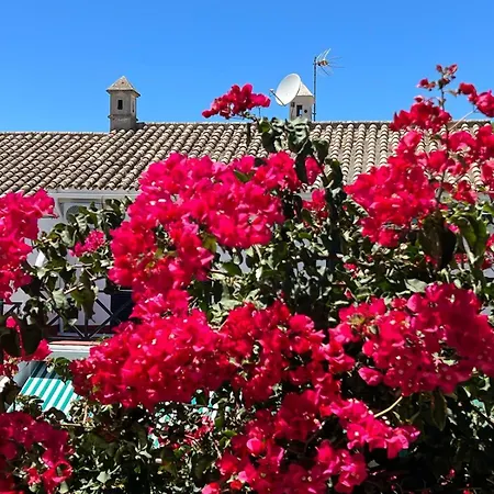 Holiday home La Buganvilla